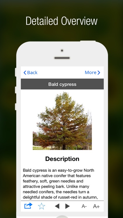 PlantsPedia - Guide to House & Garden Plants