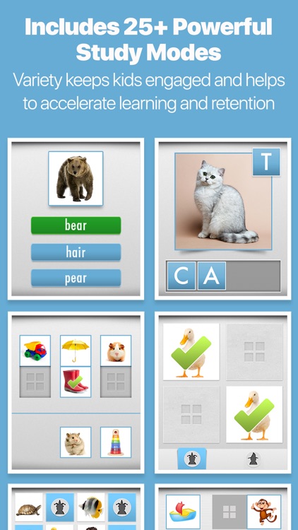 Bitsboard Flashcards PRO