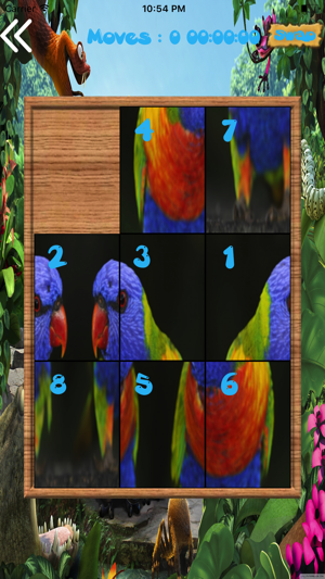 Amazing Birds Puzzles(圖4)-速報App