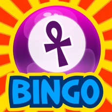 Activities of Big Win Casino Bingo Dice & Card Jackpot