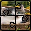 cat jigsaw puzzle hd images