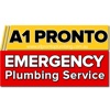 A1ProntoPlumbing