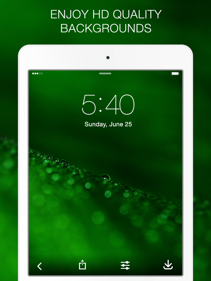 Green Wallpapers  Green Backgrounds
