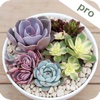 Succulent Album Pro - Help You Know Succulents