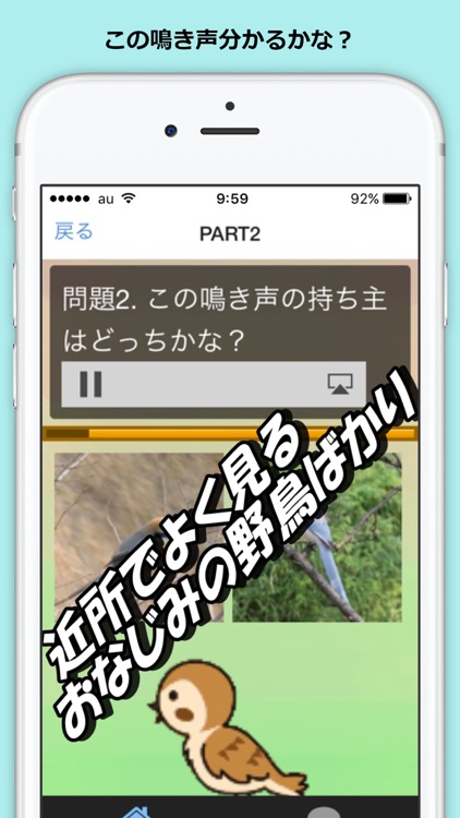 野鳥 鳴き声 クイズ バードウォッチ screenshot-4