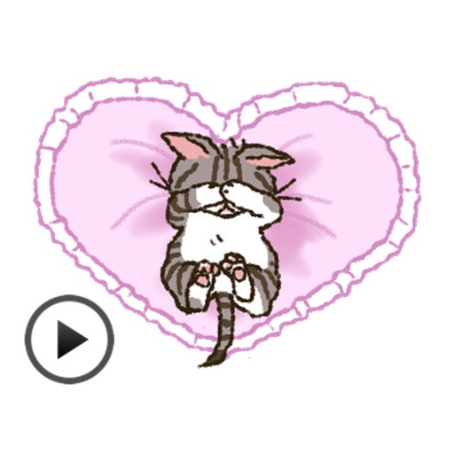 Adorable and Lazy Cat Animated Stickers