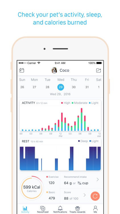 Poof - Activity monitor and tracker for pets