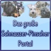 Schnaupi