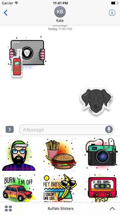 Buffalo Stickers