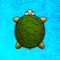 Don't let Shelly the turtle get stung on his way back home