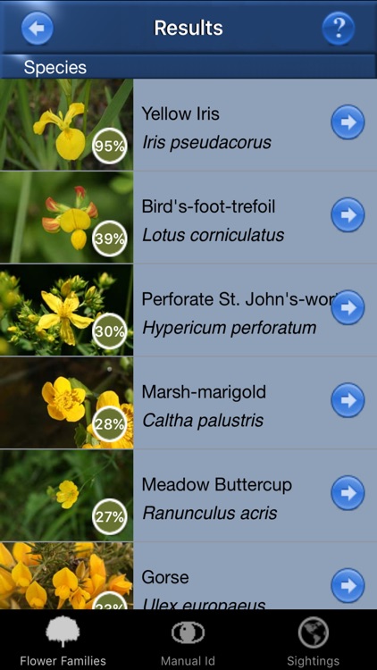 Wild Flower Id Automatic Recognition British Isles