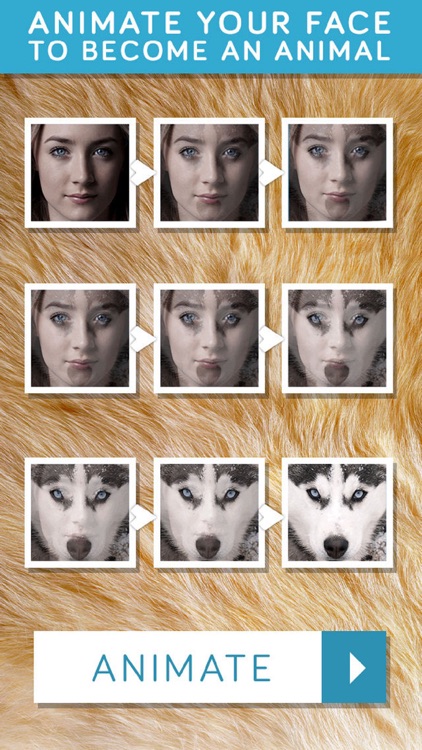 Insta Animal: Picture Editor, effects & fun faces