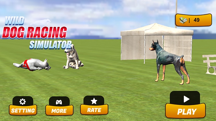 Wild Dog Racing Simulator