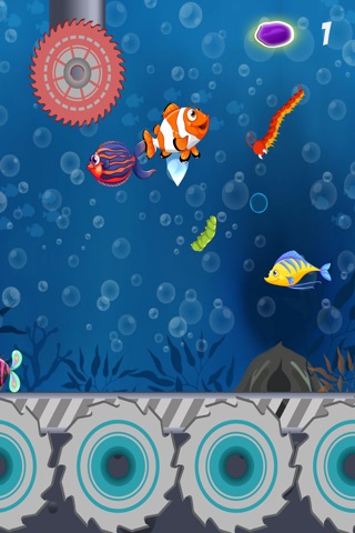 Fish Splashy Jump screenshot 2
