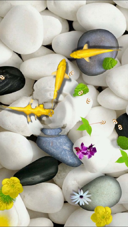Pond Koi Lite