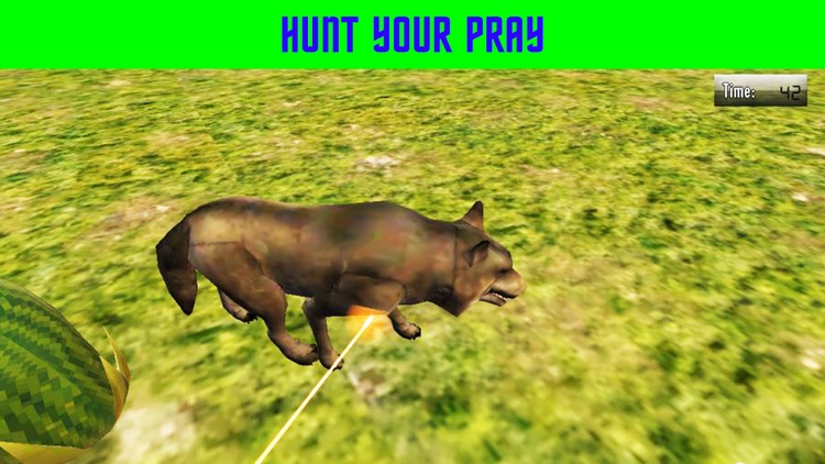 Animal Hunting Adventure screenshot-3