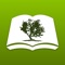 Amplified Bible+ by Olive Tree is a must-have app for reading and studying God’s Holy Word