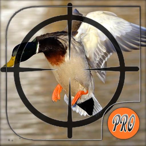 Jungle Bird Hunting Adventure - Duck Shoot icon