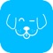 Woofy is a social media management app designed for business professionals seeking to manage their digital content efforts online
