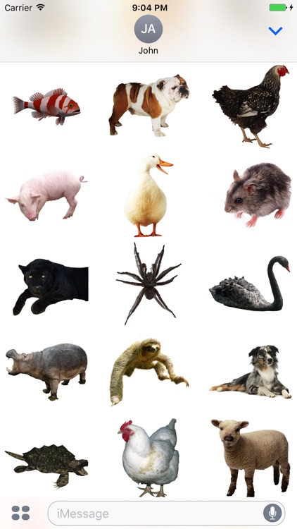 Fun Animals Stickers