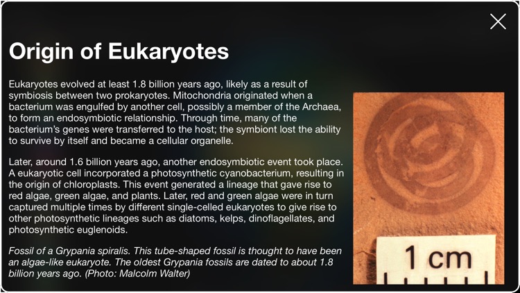 EarthViewer screenshot-3