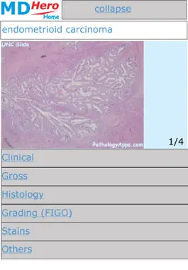 Game screenshot Surgical Pathology mod apk