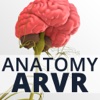 Anatomy ARVR