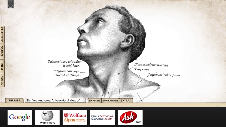 Gray's Anatomy Premium Edition