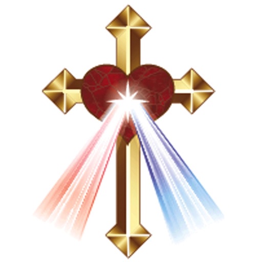 Divine Mercy Vineland IL icon