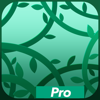 no app image