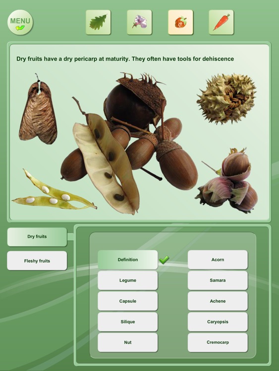 Biology - Plant handbook HD screenshot-3
