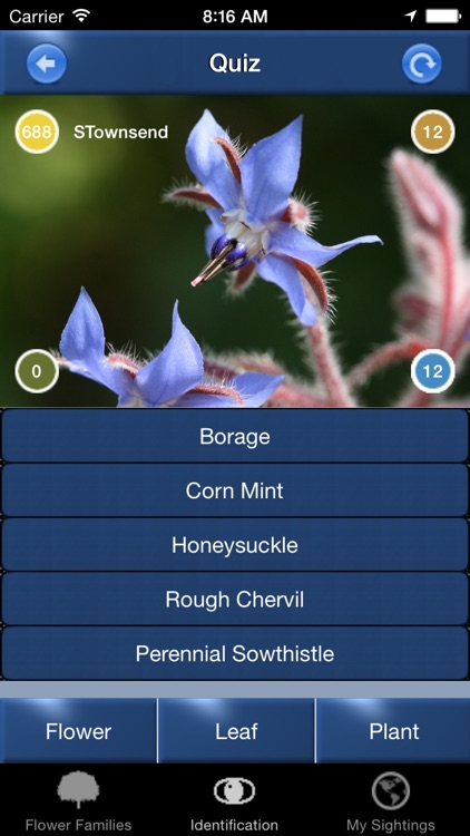 Wild Flower Id Netherlands screenshot-4