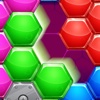 Hexagon Jigsaw Puzzle - Block Puzzle Match Game