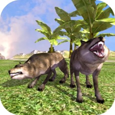 Activities of Wild Wolf Life Hunter