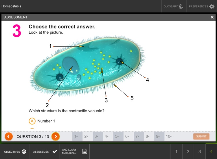 Homeostasis screenshot-4