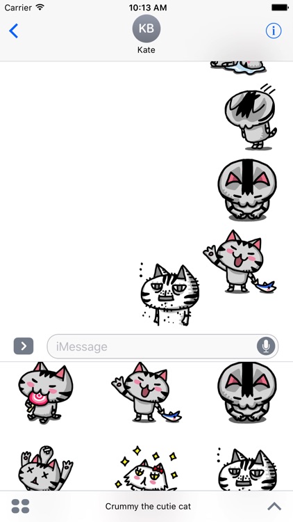 Crummy the cutie cat