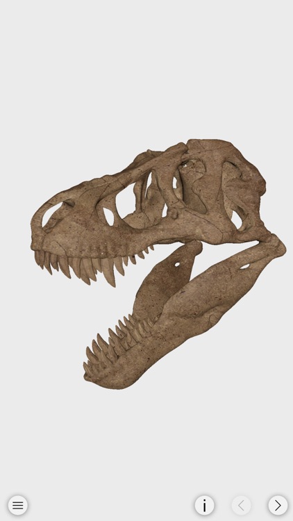 World of Dinosaurs screenshot-4