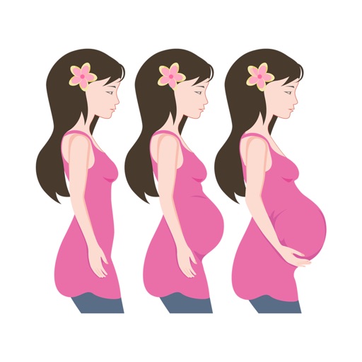 My Baby Bod - pregnancy photos