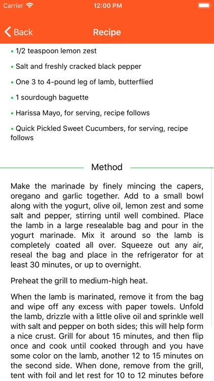 BBQ Barbecue Recipes screenshot-4