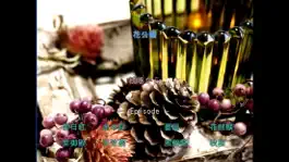 Game screenshot HANA-Park mod apk