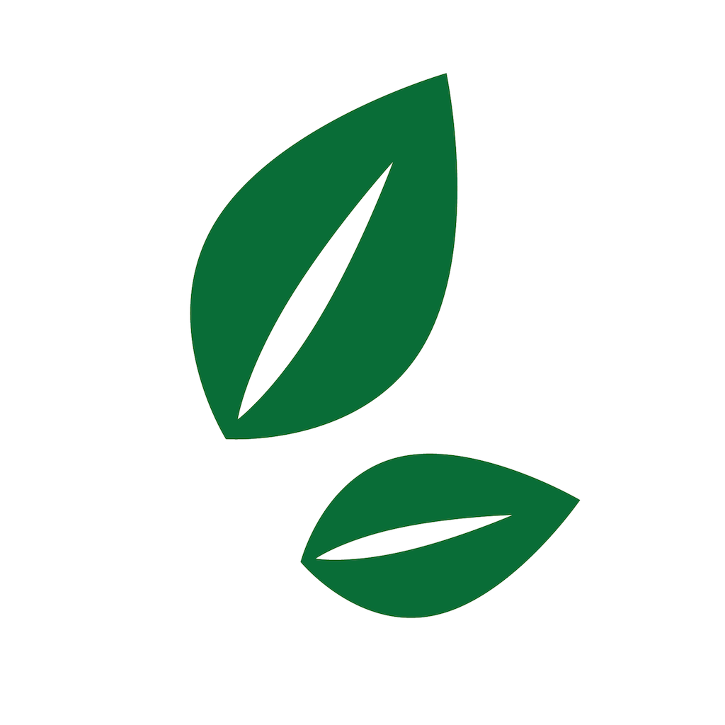 Alpha e-statements App Icon