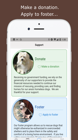 WishBone Canine Rescue(圖5)-速報App