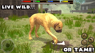 Ultimate Dog Simulator screenshot 3