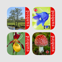 Sunbird Plant Box Uk Tree Id Flower Orchid Winter Sunbird Plant Box Uk Tree Id Flower