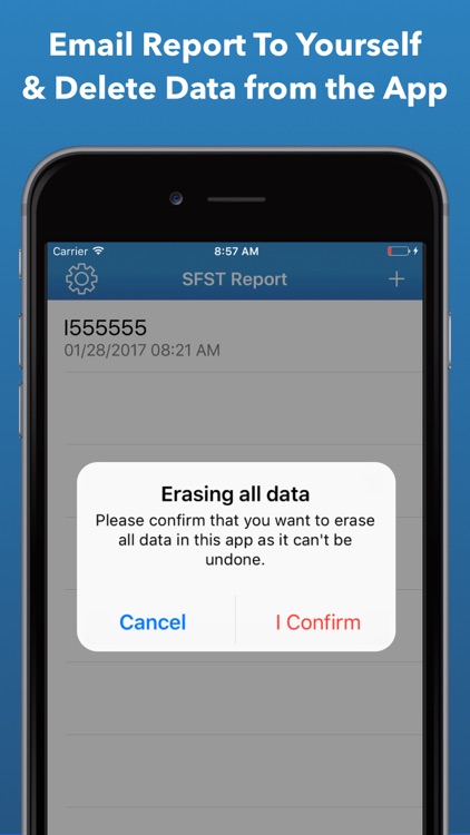 SFST Report - DUI Note Taking screenshot-4
