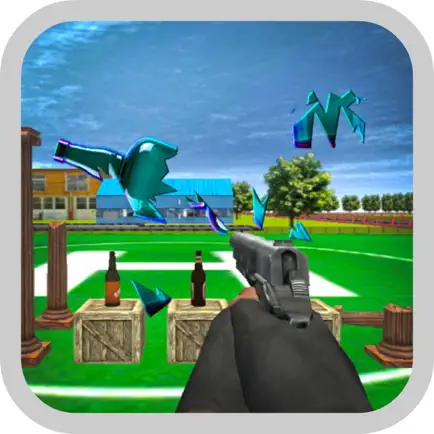 Bottle Shooter Target Pro Cheats