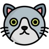 Cute Kitty Cat Stickers