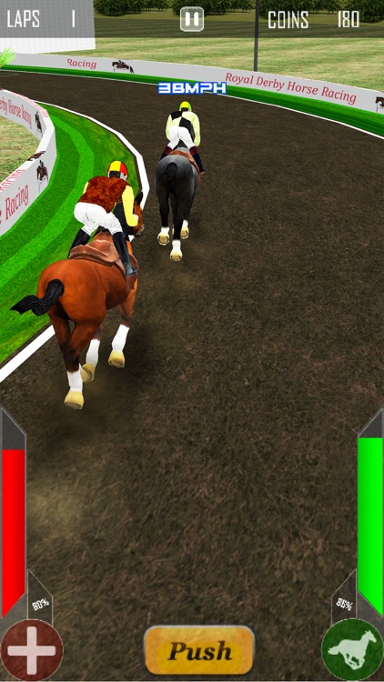 Royal Derby Horse Racing