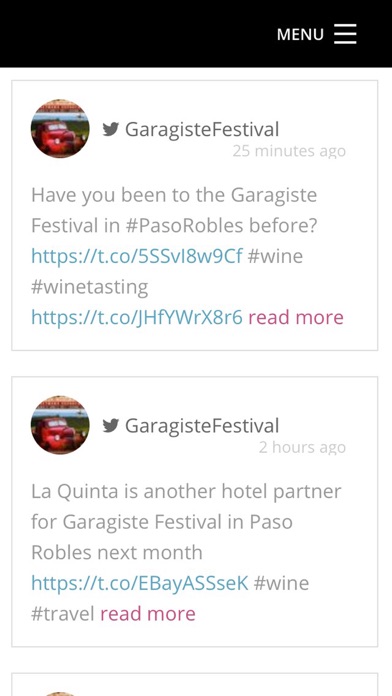 Garagiste Festival screenshot 3