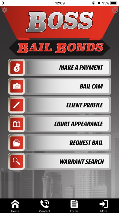 Boss Bail Bonds screenshot 3